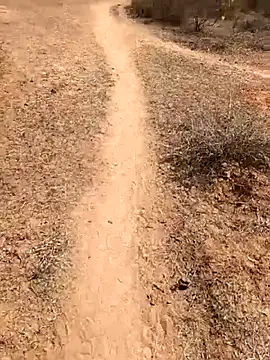 Snapshot of Tamilpaiyan07 chatting on February 2026 05:55:01 AM Tamilpaiyan07 online show from February 2026 05:55:01 AM