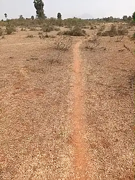 Snapshot of Tamilpaiyan07 chatting on February 2026 07:01:01 AM Tamilpaiyan07 online show from February 2026 07:01:01 AM