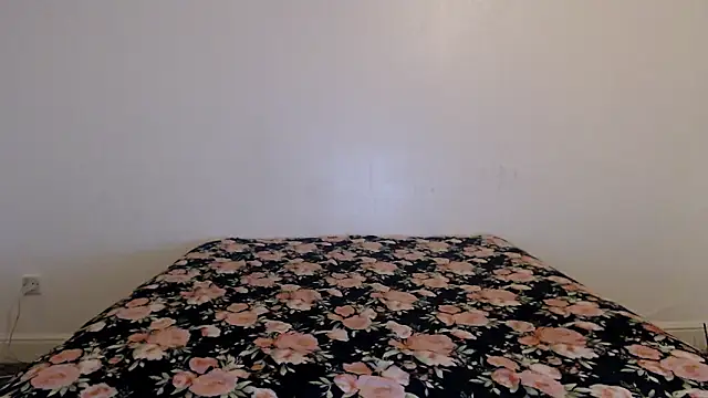 Stella John online show from February 2026 07:18:01 AM