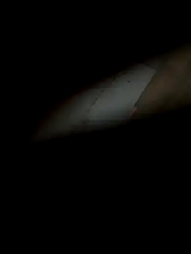 silentman777 online show from December 2025 12:13:02 PM