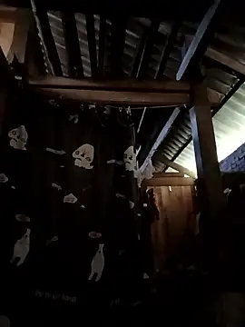 Snapshot of Money_moneylove chatting on December 2025 03:37:02 AM Money moneylove online show from December 2025 03:37:02 AM