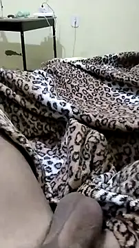 Novinhoie online show from April 2026 01:50:01 PM