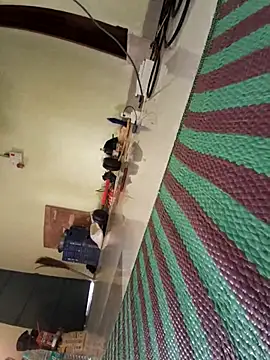 Ranuvabi online show from April 2026 10:09:02 AM