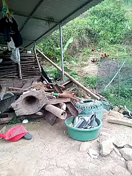 congchua977 online show from April 2026 11:02:02 AM