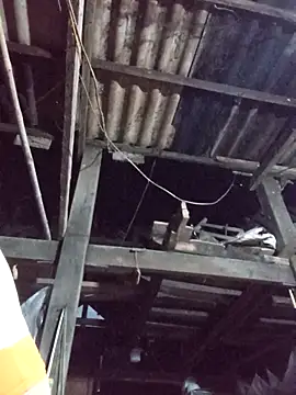 dakota-kis online show from March 2026 11:44:02 AM