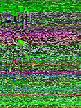 Couple in SL online show from January 2026 09:02:02 AM