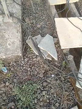 sexyboy 917 online show from April 2026 02:01:01 AM