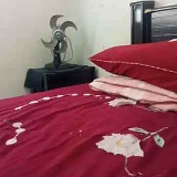    - - bucetuda  2026 online show from January 2026 02:43:02 PM