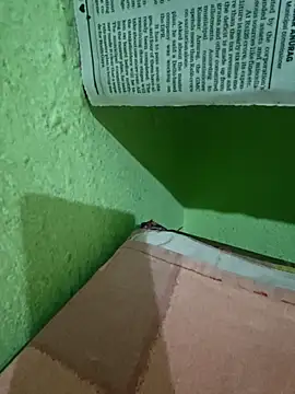 Pagelboy 089 online show from April 2026 11:04:02 AM