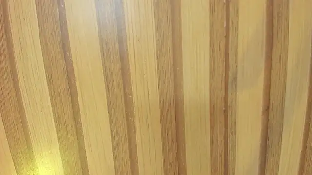 emily velvet   online show from March 2026 06:09:02 PM