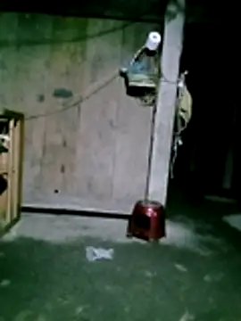 him220 online show from January 2026 11:25:01 PM