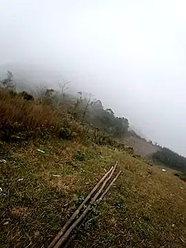 him220 online show from February 2026 01:02:02 AM