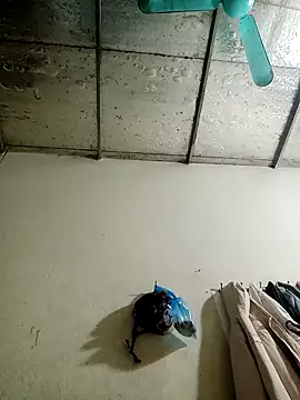 Snapshot of Sana-vn chatting on January 2026 01:48:02 PM Sana-vn online show from January 2026 01:48:02 PM