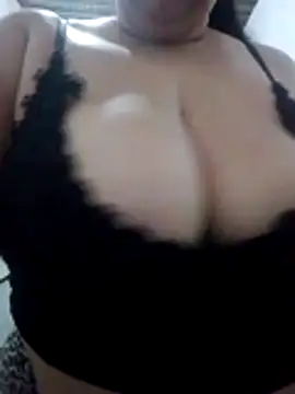 safadinha24h online show from January 2026 01:10:02 AM