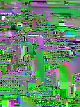 Nami-777 online show from January 2026 01:40:01 AM