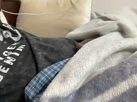 mdlaif1111 online show from February 2026 01:43:01 AM