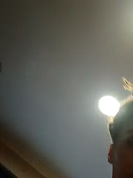 dear2002 online show from January 2026 06:18:02 AM