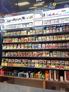 Dominic2295 online show from February 2026 05:04:01 AM