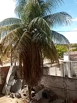     gozada---- online show from January 2026 03:59:01 PM