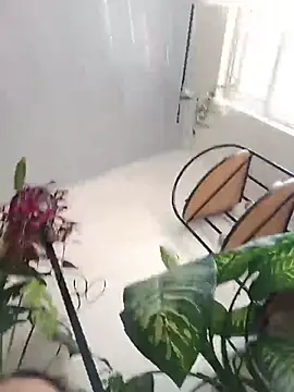 EcoDePiel online show from August 2026 06:50:01 PM