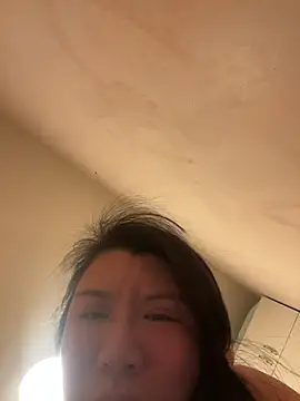 wy2026 online show from February 2026 04:56:02 PM