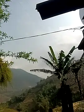 Mayly lucky2 online show from March 2026 02:15:02 AM