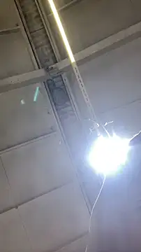 Dildogang online show from February 2026 02:49:02 AM