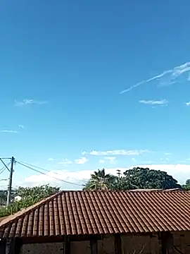 --------bucetuda------- online show from January 2026 08:00:01 PM