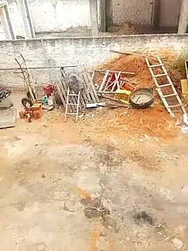 --------bucetuda------- online show from January 2026 12:08:02 PM