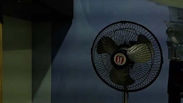 yvi taylor online show from April 2026 12:21:01 PM