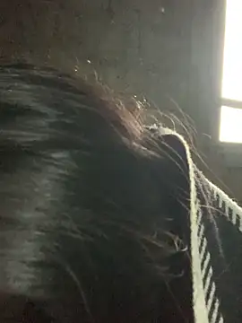 Naalyy online show from March 2026 03:24:02 AM