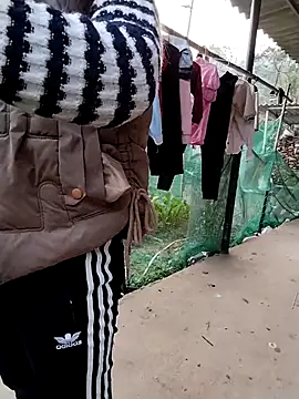 waaini99 online show from January 2026 12:27:02 AM