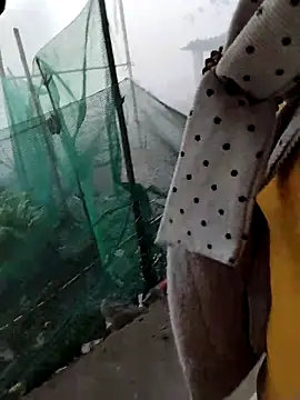 waaini99 online show from February 2026 01:09:02 AM