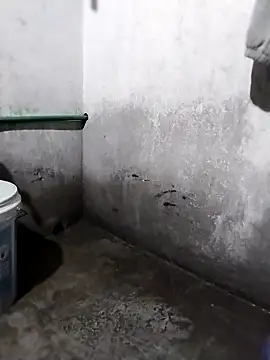 waaini99 online show from February 2026 12:20:02 AM