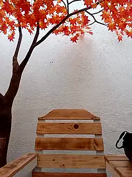 Dante Knox online show from February 2026 11:52:01 AM