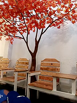 Dante Knox online show from February 2026 11:41:01 AM