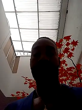 Dante Knox online show from April 2026 11:48:01 AM