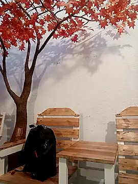 Dante Knox online show from April 2026 11:02:02 AM