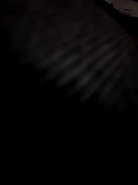 Snapshot of Boy4youuu chatting on March 2026 09:15:01 PM Boy4youuu online show from March 2026 09:15:01 PM