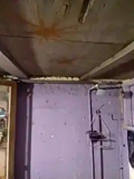 Snapshot of Guanatos13 chatting on February 2026 05:17:01 AM Guanatos13 online show from February 2026 05:17:01 AM