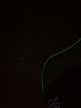 leox98xx online show from January 2026 09:33:02 AM