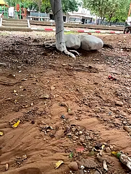 lunarous98 online show from January 2026 05:18:02 PM