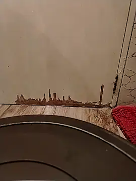 Snapshot of Gorditacarlota chatting on February 2026 05:00:02 PM Gorditacarlota online show from February 2026 05:00:02 PM