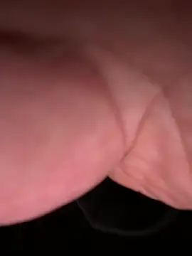 ForagingZealand online show from January 2026 02:39:01 AM