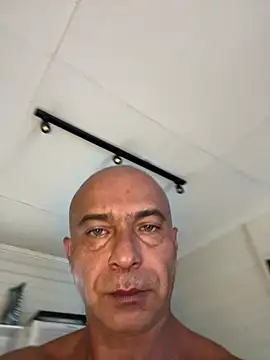 dogfrota online show from March 2026 05:39:01 PM