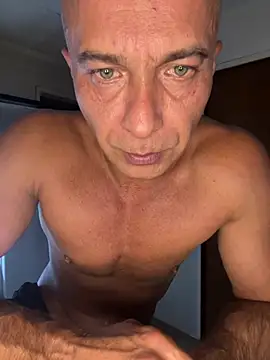 dogfrota online show from March 2026 04:06:02 AM