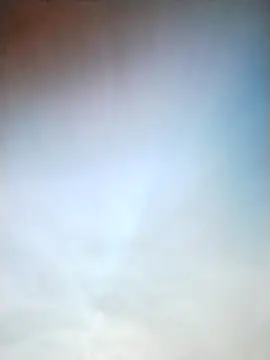 lovepirate009 online show from February 2026 07:31:02 AM