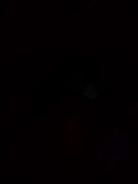 Asias Beardman online show from January 2026 02:44:01 PM