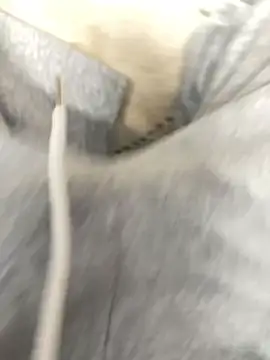 Bebun online show from January 2026 03:00:02 AM