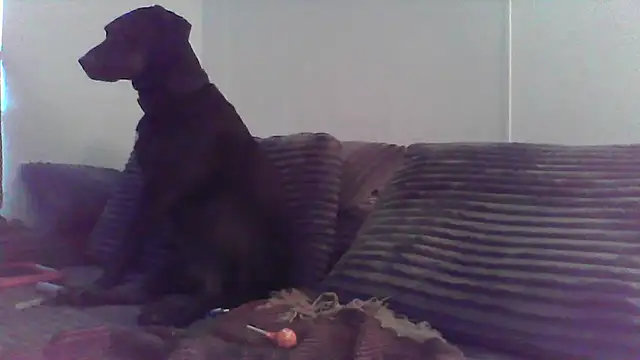 Snapshot of HungandHynotic chatting on March 2026 01:01:02 AM HungandHynotic online show from March 2026 01:01:02 AM